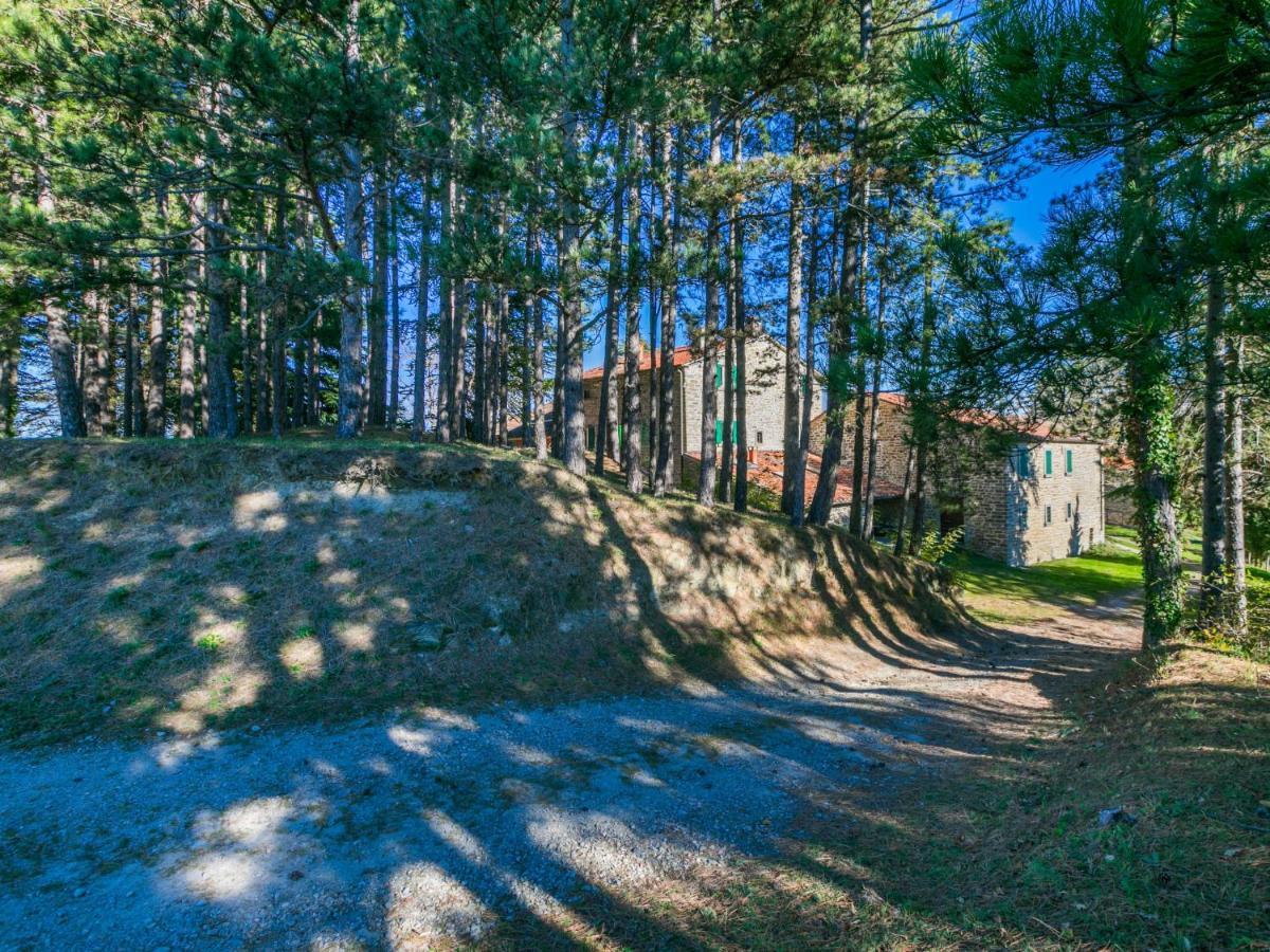 Holiday Home Al Volo Del Nibbio By Interhome Marradi Luaran gambar